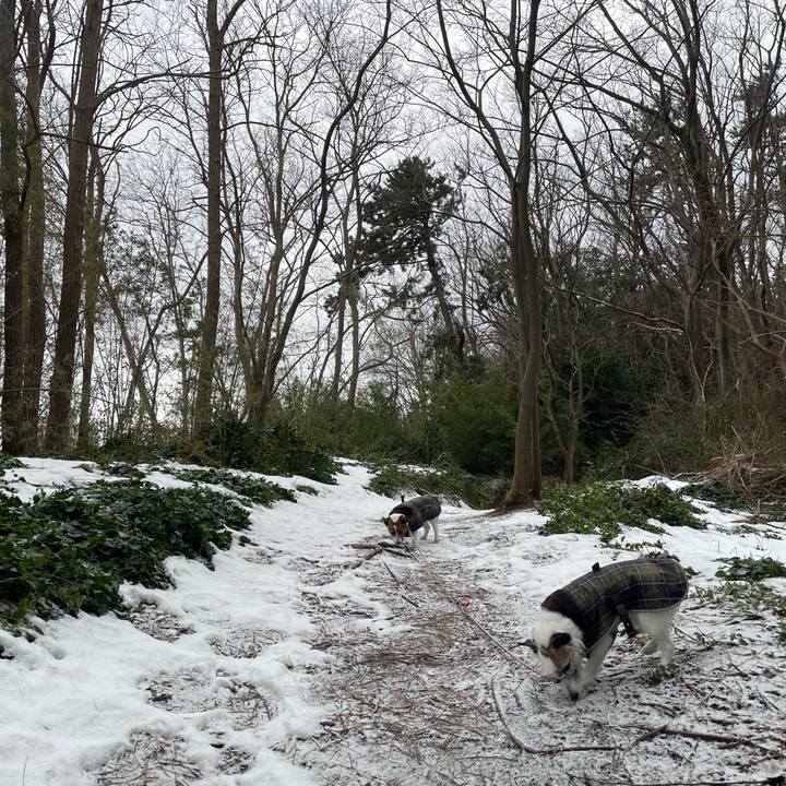 9697379d afe7 43e6 ba04 2bf0e38e09a3 1770420293854