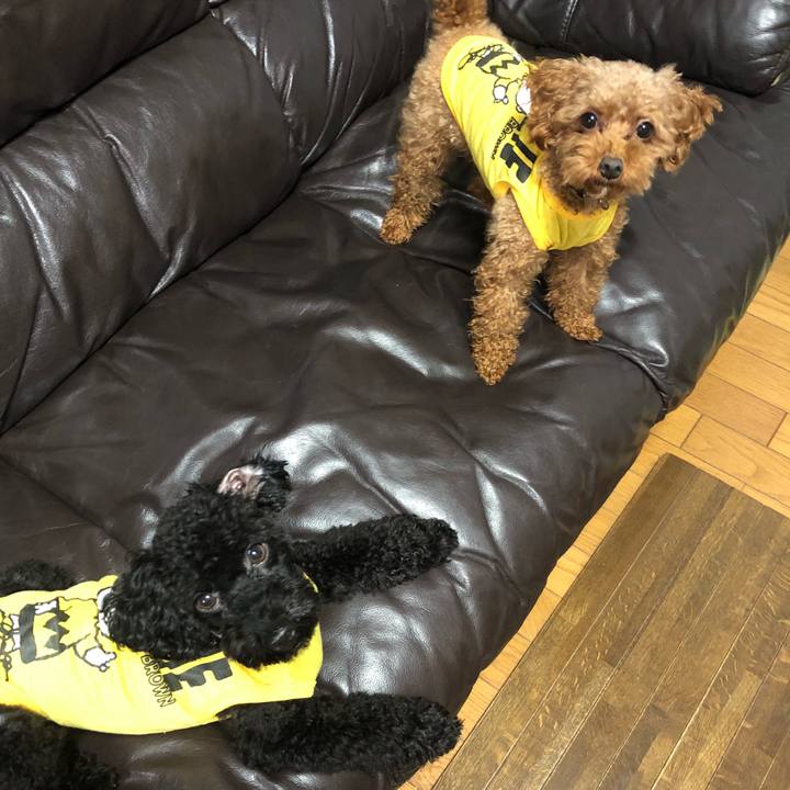 96976cd4 63ab 4270 ac7f 08f09af65795 1539419487791