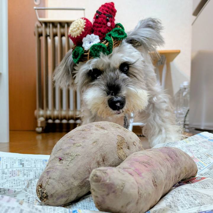 96977cf9 4b7e 4773 892a ac5801a08140 1762651363471