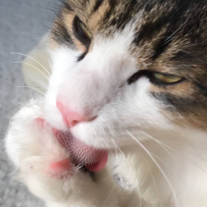 9697908c 1c9b 4b4f bbf3 037a6f1daa98 1513575149719