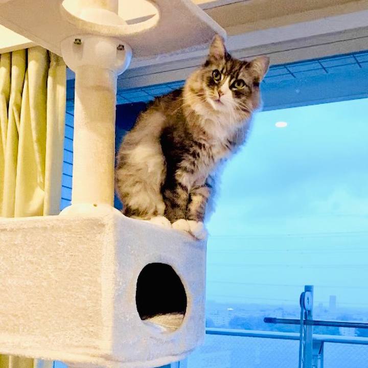 96979948 b1df 4079 9218 f5eddb48eaa5 1626253613160