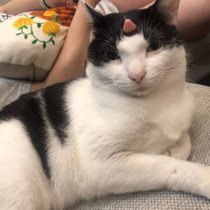 96979bbc 5b94 4684 95f5 54bd3abdd62a 1654170725265