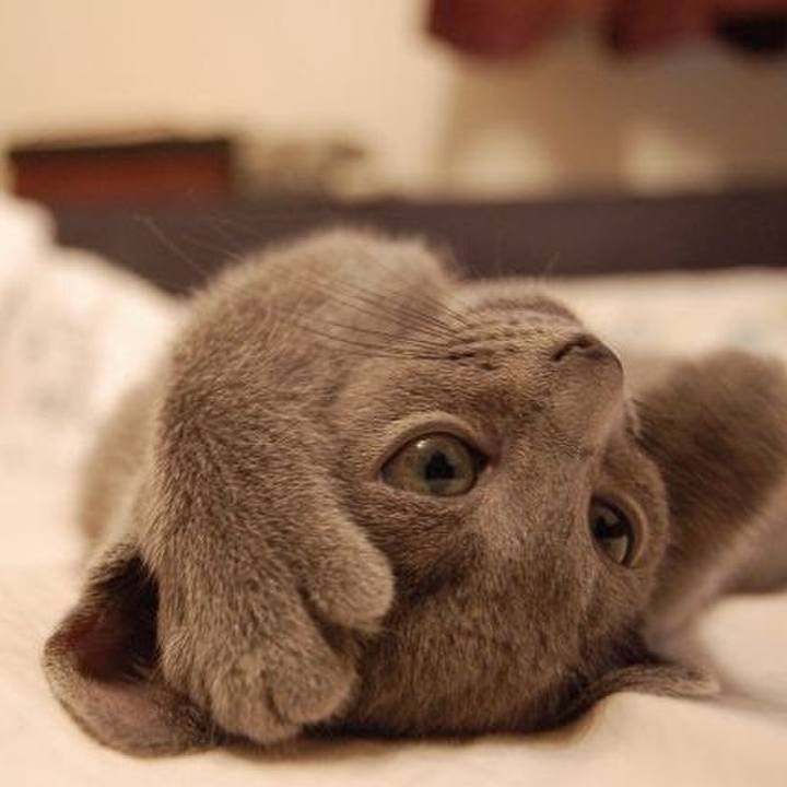 9697aec4 d6bb 4b27 8ef7 14e4dac3917b 1541767664525