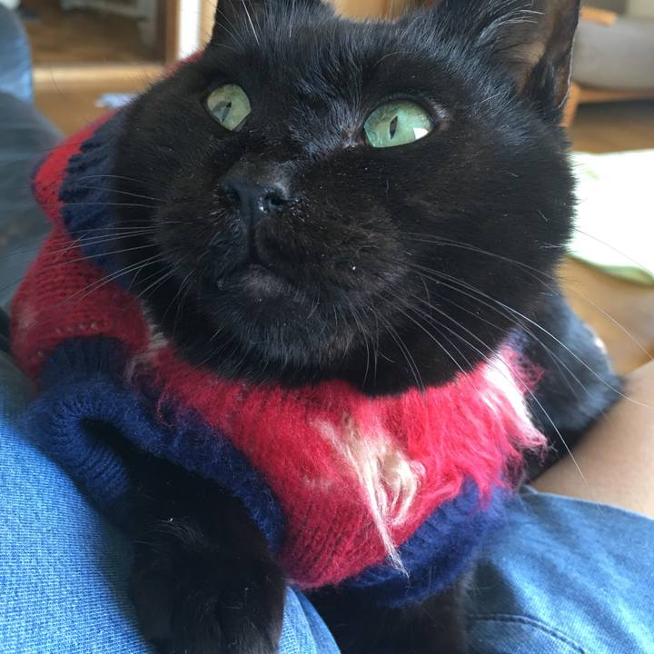 9697f457 a578 4800 8f29 ba61e6ee3f15 1539997909464