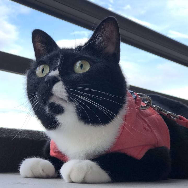 96980351 e4c5 4cc8 be8a 33aa3bdc2057 1533163714617