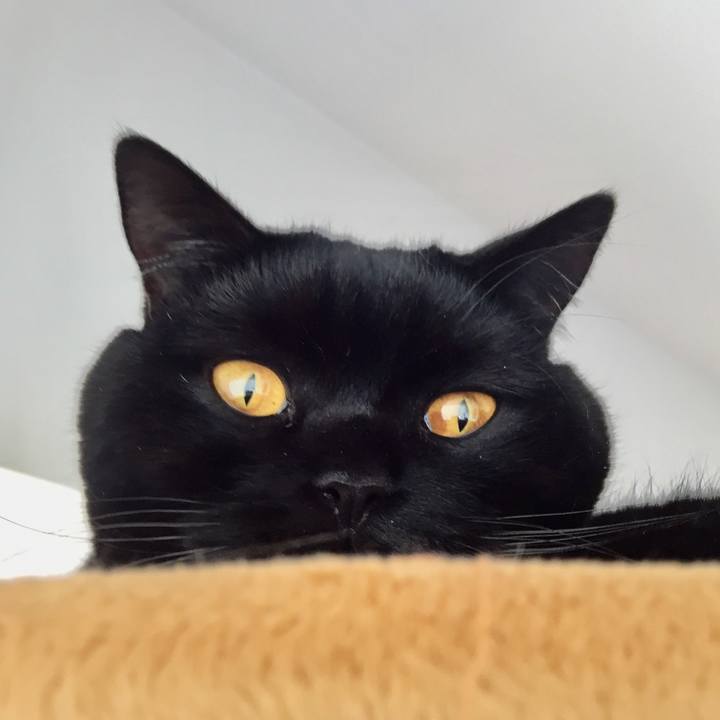 96980ae5 67fb 49fc b570 e148368a4bfb 1576894236431