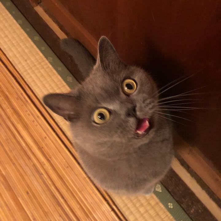 969882fa 2f81 49ca 8a68 dbb07824746b 1598179595190