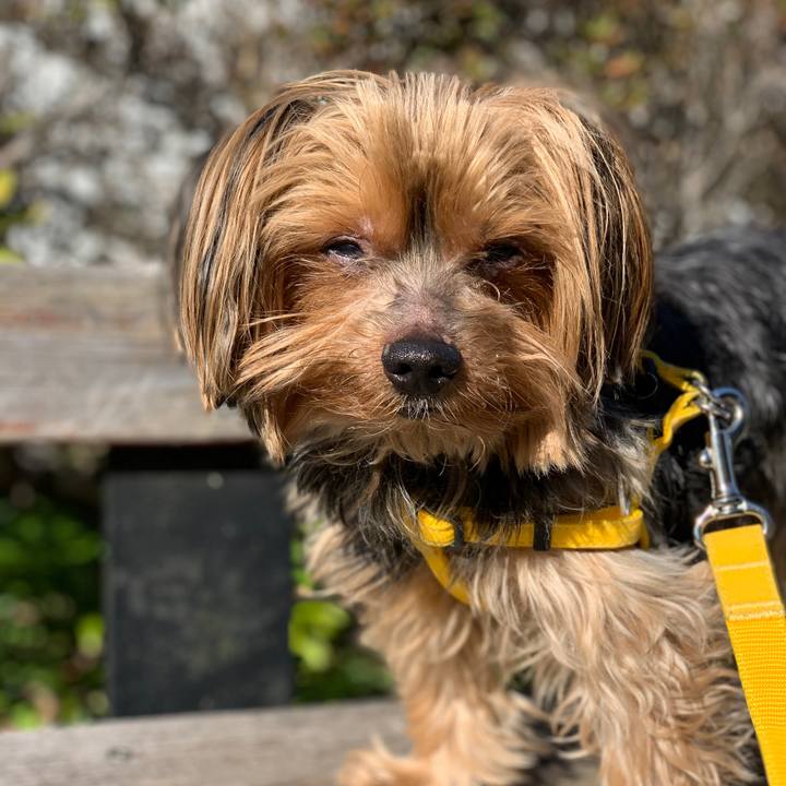 96988b4c ef39 44c1 ab79 be41de2bd597 1581570866772