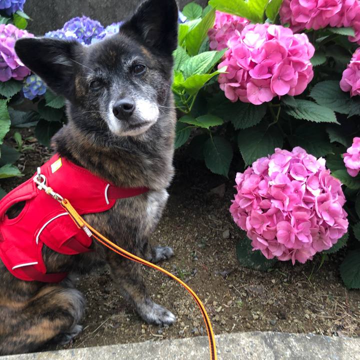 9698a0a6 ab9f 4288 ae01 341c75750e91 1621934758058