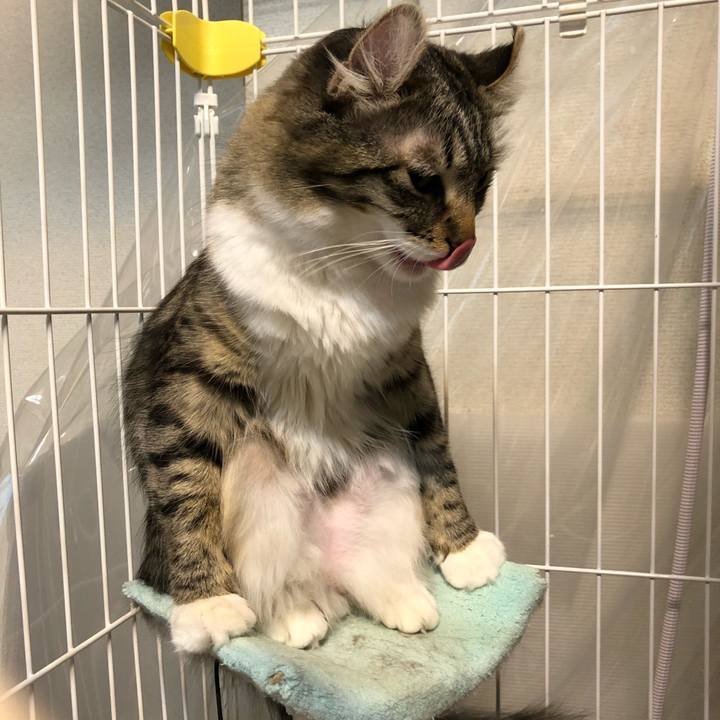 9698c94c 4417 4130 904d 570b29229623 1516247597835