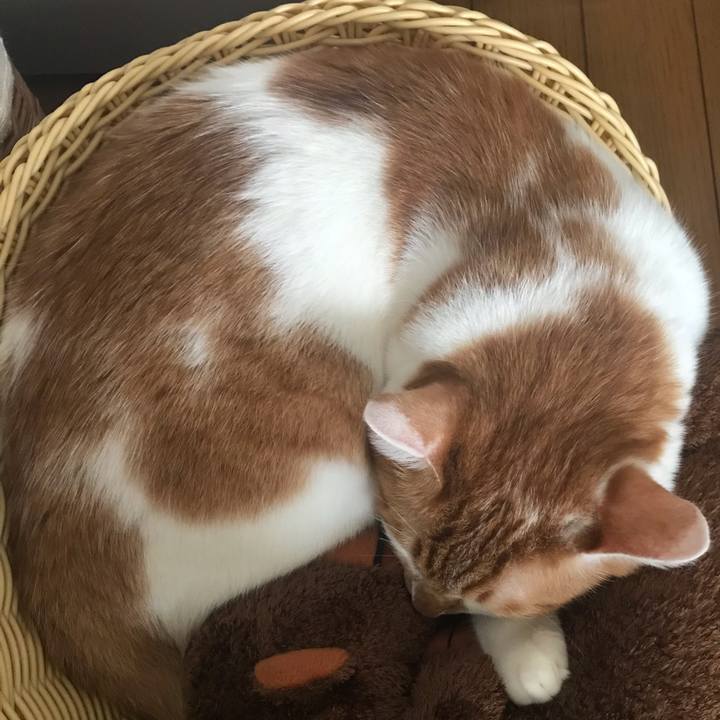 9698ed2a d6e8 437c 9937 f1a252f43b2a 1602397091561