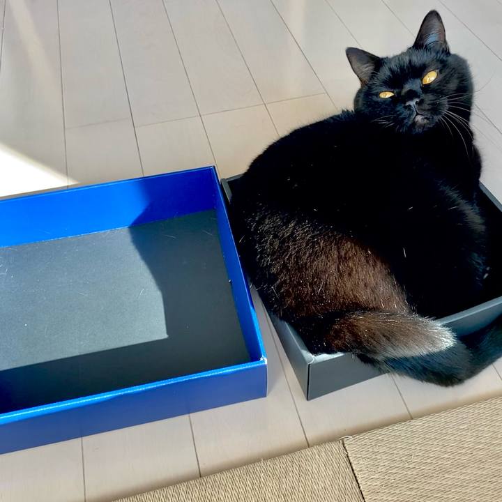 96991694 0428 4572 b150 66d69e1656a1 1643170836204