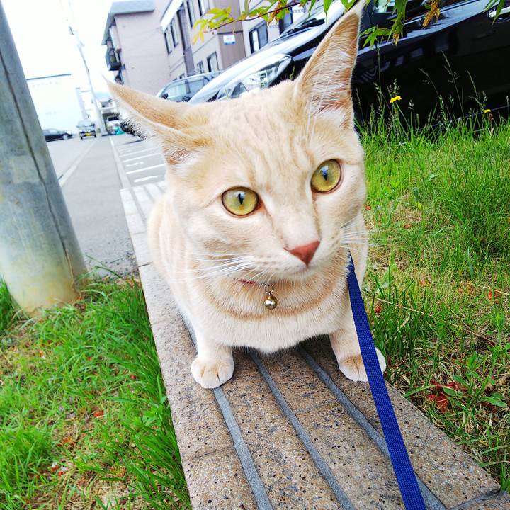 9699269d 926d 4c6e 9f47 cb10cd4770ea 1560661827753