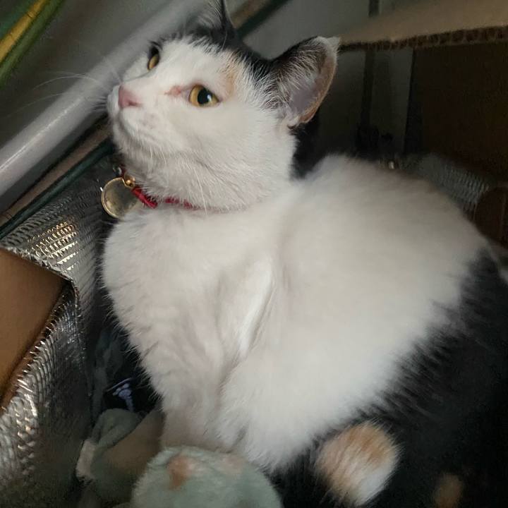 96992e0d 0efa 4118 aade 4bb26b238a45 1640350708588