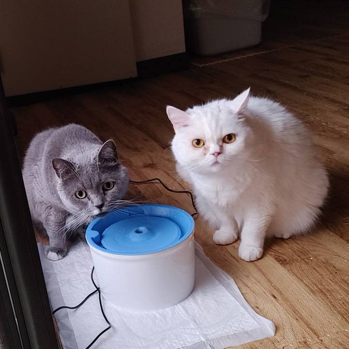 96994226 c56e 49dc 98be 87e88b5615dd 1709199665094