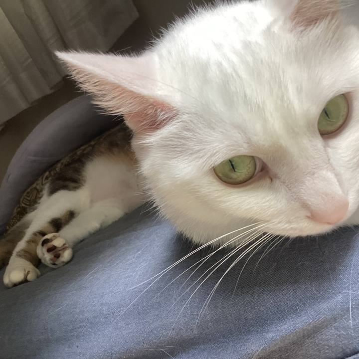 96994bfb 2f4c 429f ac04 6778bbaf1ca7 1688784735309