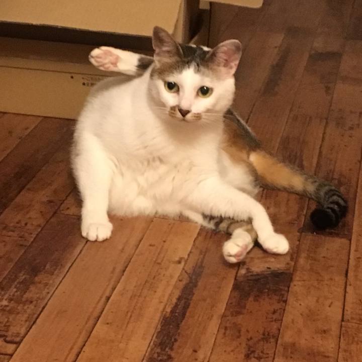 9699a0e8 ee53 4bd5 9739 1120d772a775 1567077330223