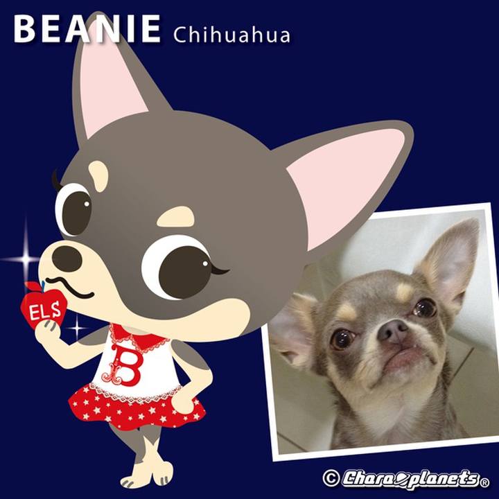 9699b08f d037 4b19 b9d9 92269ee18770 1566009845747