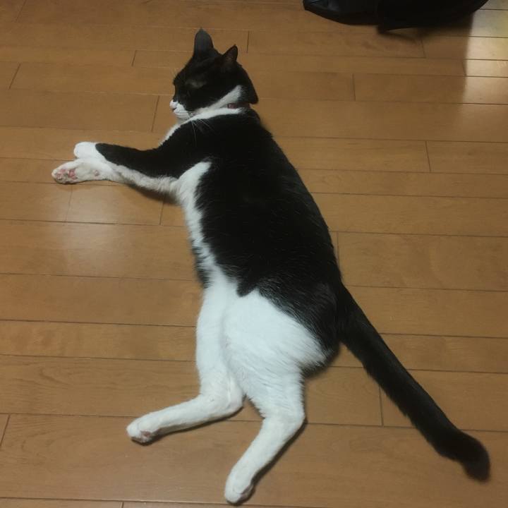 969a565c 6714 4558 aae6 32acf53c757a 1580037911128