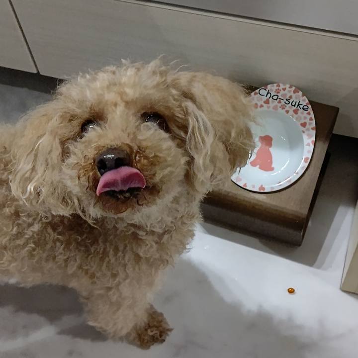 969a594b 64c8 4e6c 98fe 60ec30603858 1622104875562