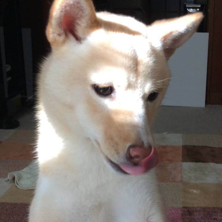 969a695c 68e3 4edb 9b42 359d612f6ad4 1511955616438