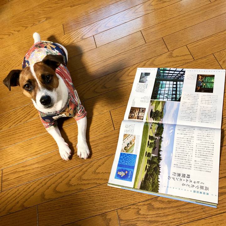 969a6ae9 3afb 403f be62 6d1ef75d4669 1595845107473