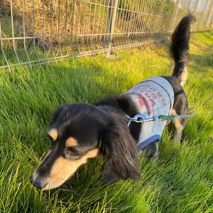 969a73ca 0976 415c b405 996e65f114b3 1697515293090