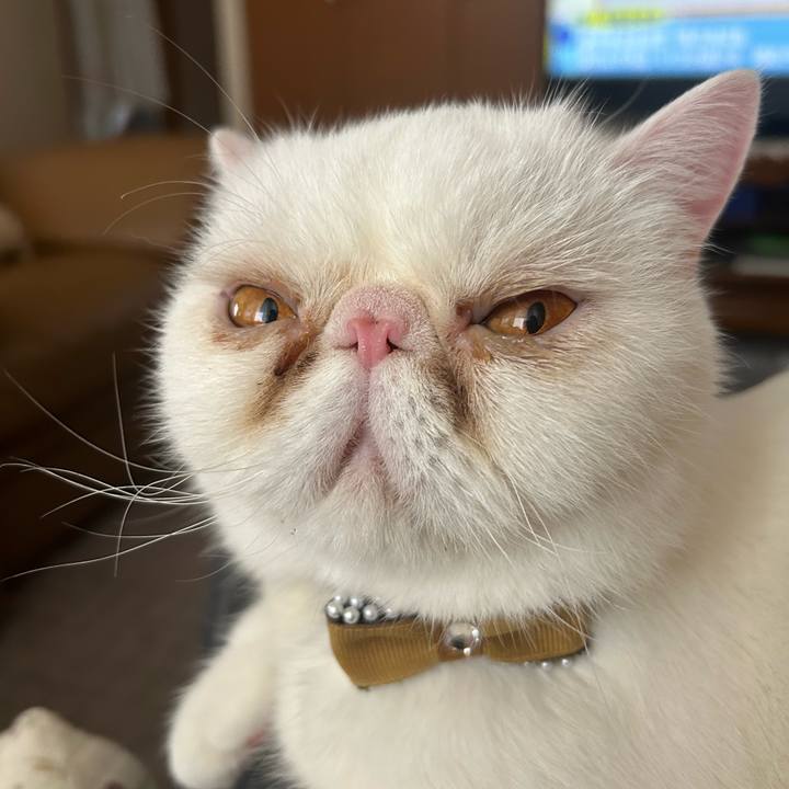 969a9bec eb24 4b33 bac5 41e9d17004de 1747538255067