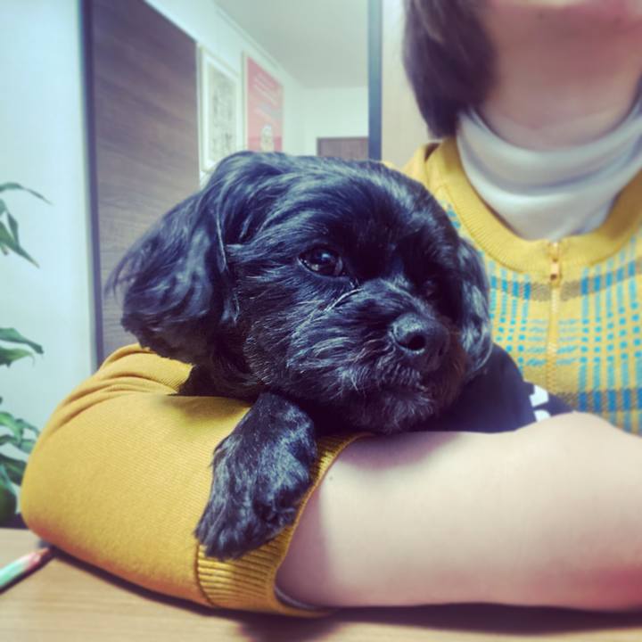 969aaa02 4b8d 4b2b 90ff 57a764c9b4d9 1614958819122