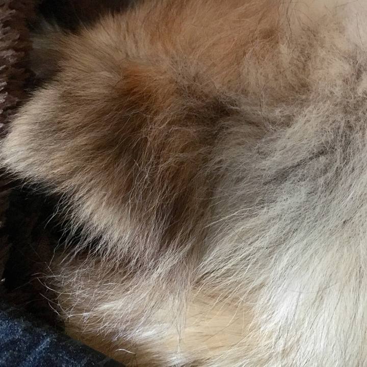 969acf1c 3e0a 4b35 84c1 d007fe961d7e 1549871386520