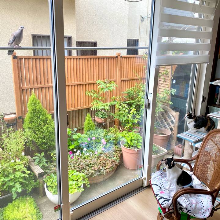 969b0d19 4447 4815 b8f7 e546f228ab5b 1627603953756