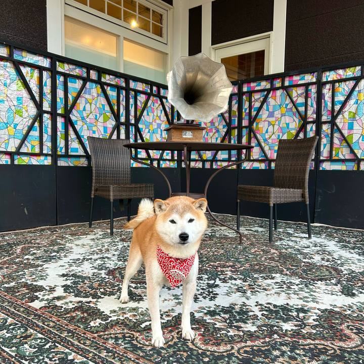 969b10fb 7e57 4a91 ac4b f20cf9bf636d 1736322270194