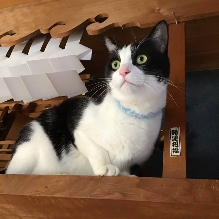 969b1d62 924c 45ee a04b 8d38ce1dbb35 1737967533909