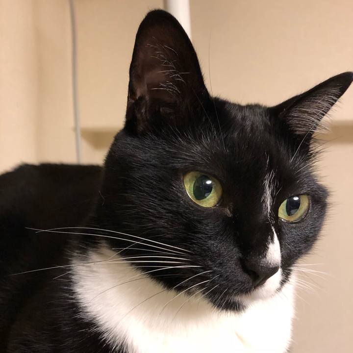 969b2581 46f0 428b 86b0 6494653eede2 1510870063611