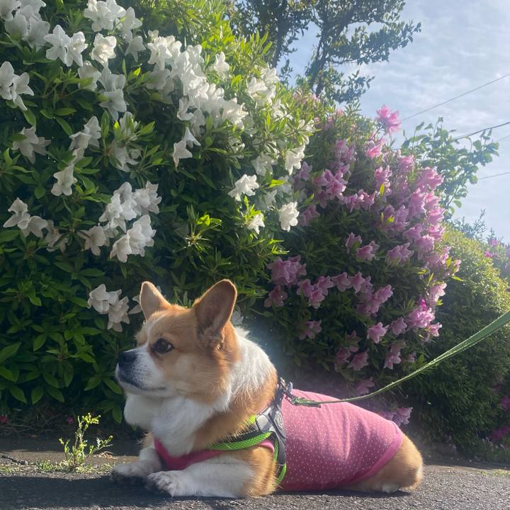 969b615f 3a76 4544 b9dc 7f2918148439 1776989281843