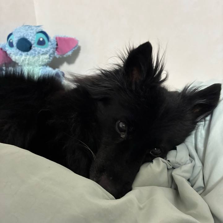 969bd0b0 f2af 4fbf 96a2 0cd93fc120ca 1768953634637