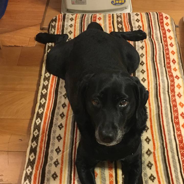 969bf9d6 dc6a 4f80 9618 41b90ea669ce 1518958136844