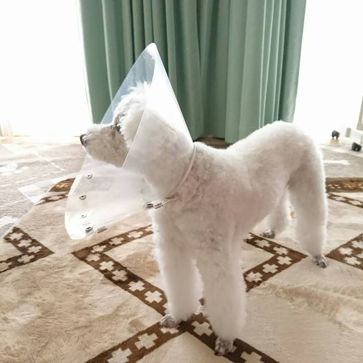 969c3604 3759 4301 84e3 b7be11e40fc3 1561210680495