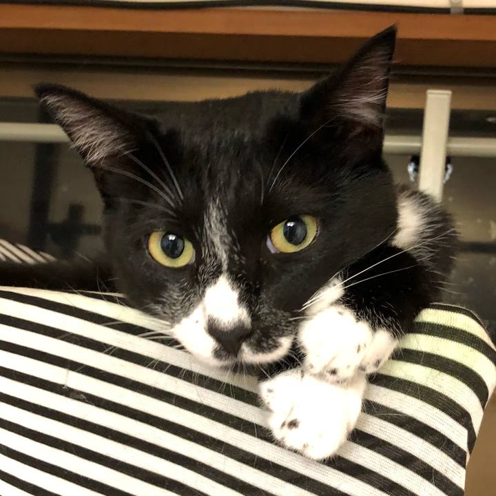 969c659c a915 44df bce5 c6ca6ba7c41f 1534736786744