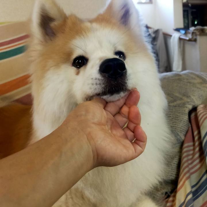 969ca505 7595 4aff ba3e 9a39db0cf1c4 1692880332184