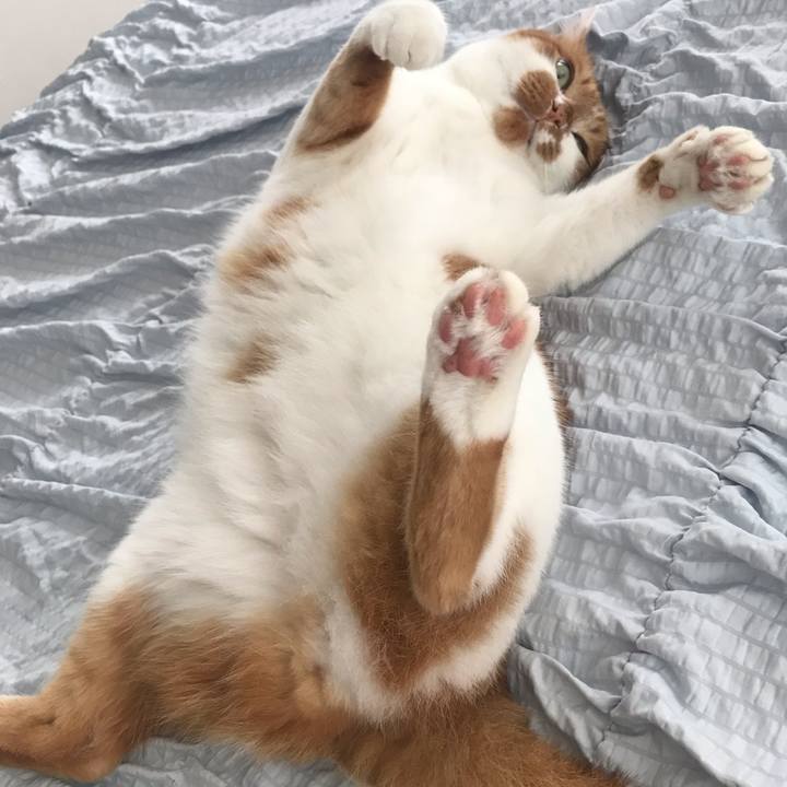 969cb25c 40f4 4d42 b164 93be0fbfaa27 1625188694395