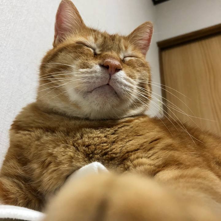 969d0690 6eb3 4dcf 9c98 25b0c44a1423 1595332315199