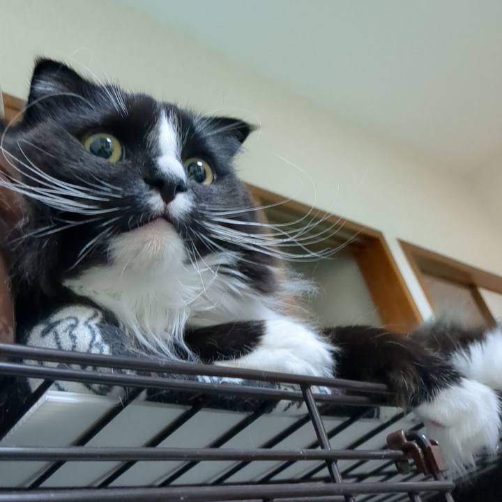 969d0bf5 eeec 4ec9 83e9 1f9d91f9ebc4 1677674907845