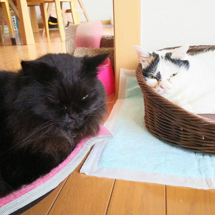 969d23e7 8869 4da2 8cd6 a4436db4b90a 1538009772508