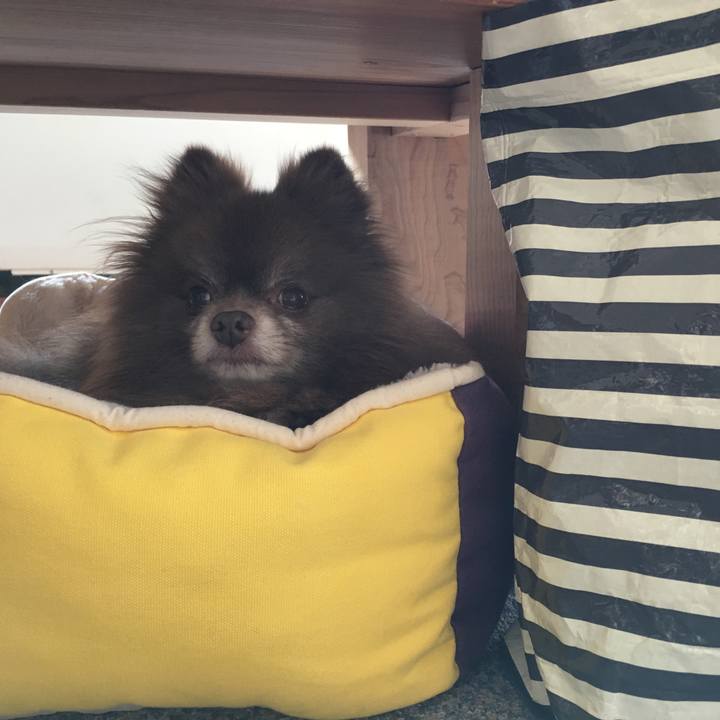 969d3f1f a53c 4cab adbc 3cce8f1509aa 1524784166731