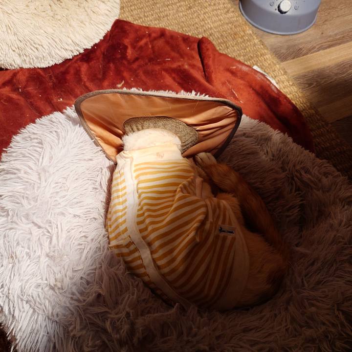 969d5575 998f 4187 8803 184ee128eafe 1761657038662