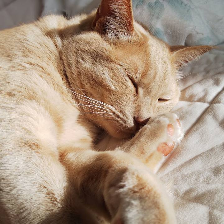 969d81b5 b37e 434b 804b 43eca23c7eab 1616456161762