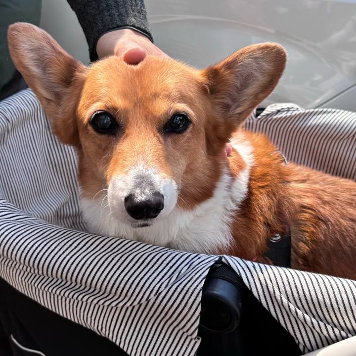 969dc001 5e5a 4c29 af60 8670973f7e67 1743395212562