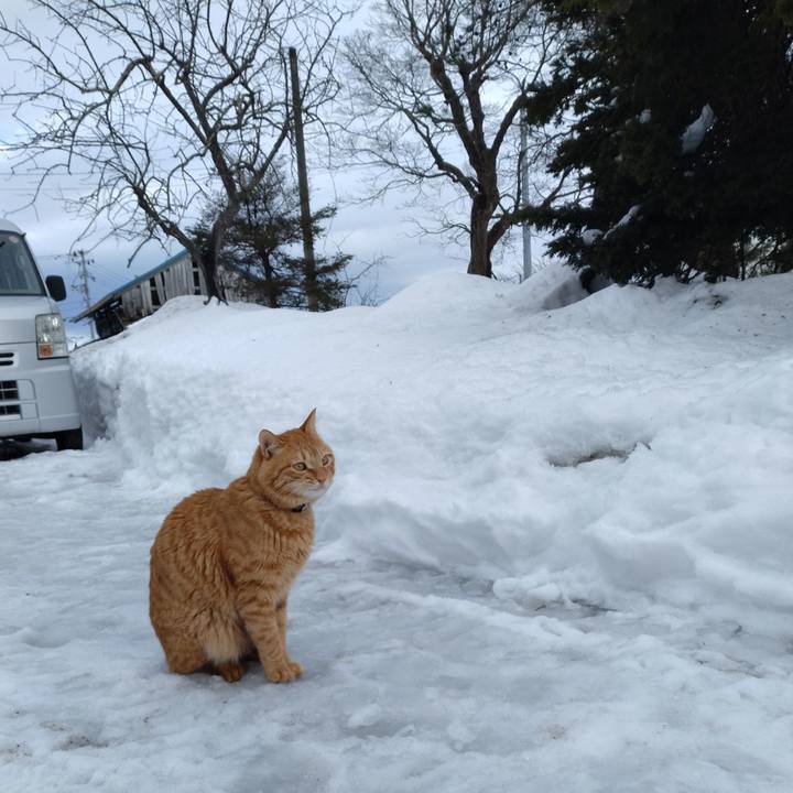 969de616 528a 4036 b9fd 7bb2caa31f12 1676184363583