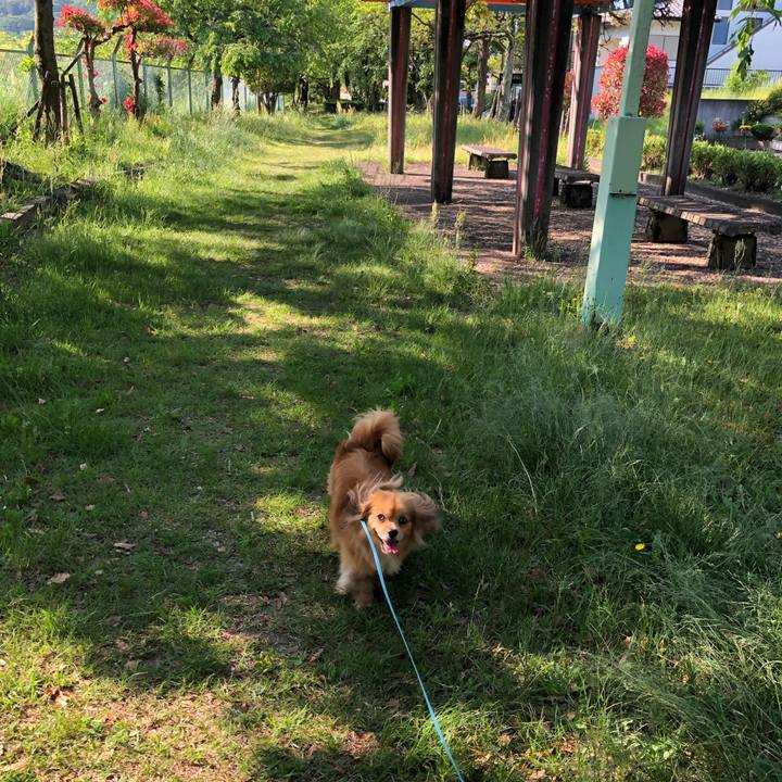 969deeee 64f7 4169 951f 994f188039b6 1557621454180